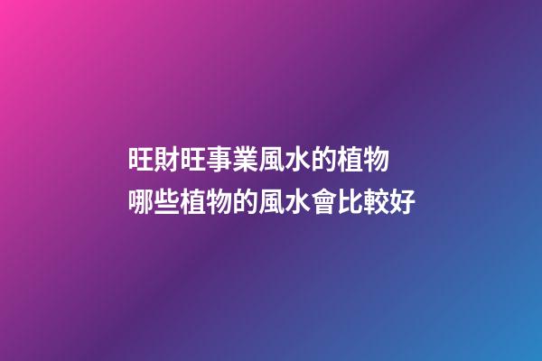 旺財旺事業風水的植物 哪些植物的風水會比較好